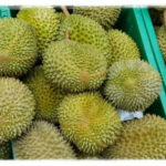 durian rancamaya
